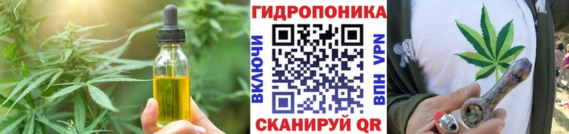 Cannafood конопля  Няндома 