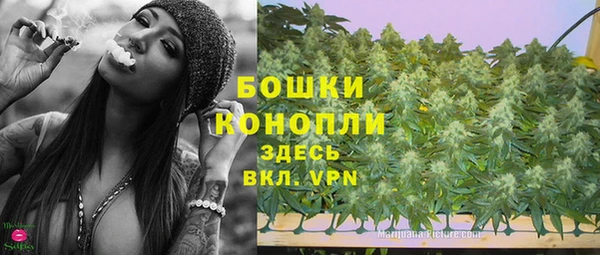 СК Козловка