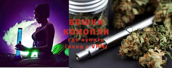 СК Козловка