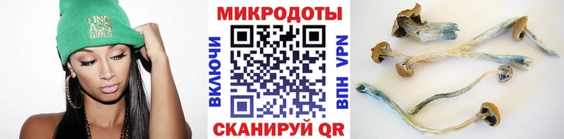 Псилоцибиновые грибы мухоморы  где купить наркоту  Няндома 